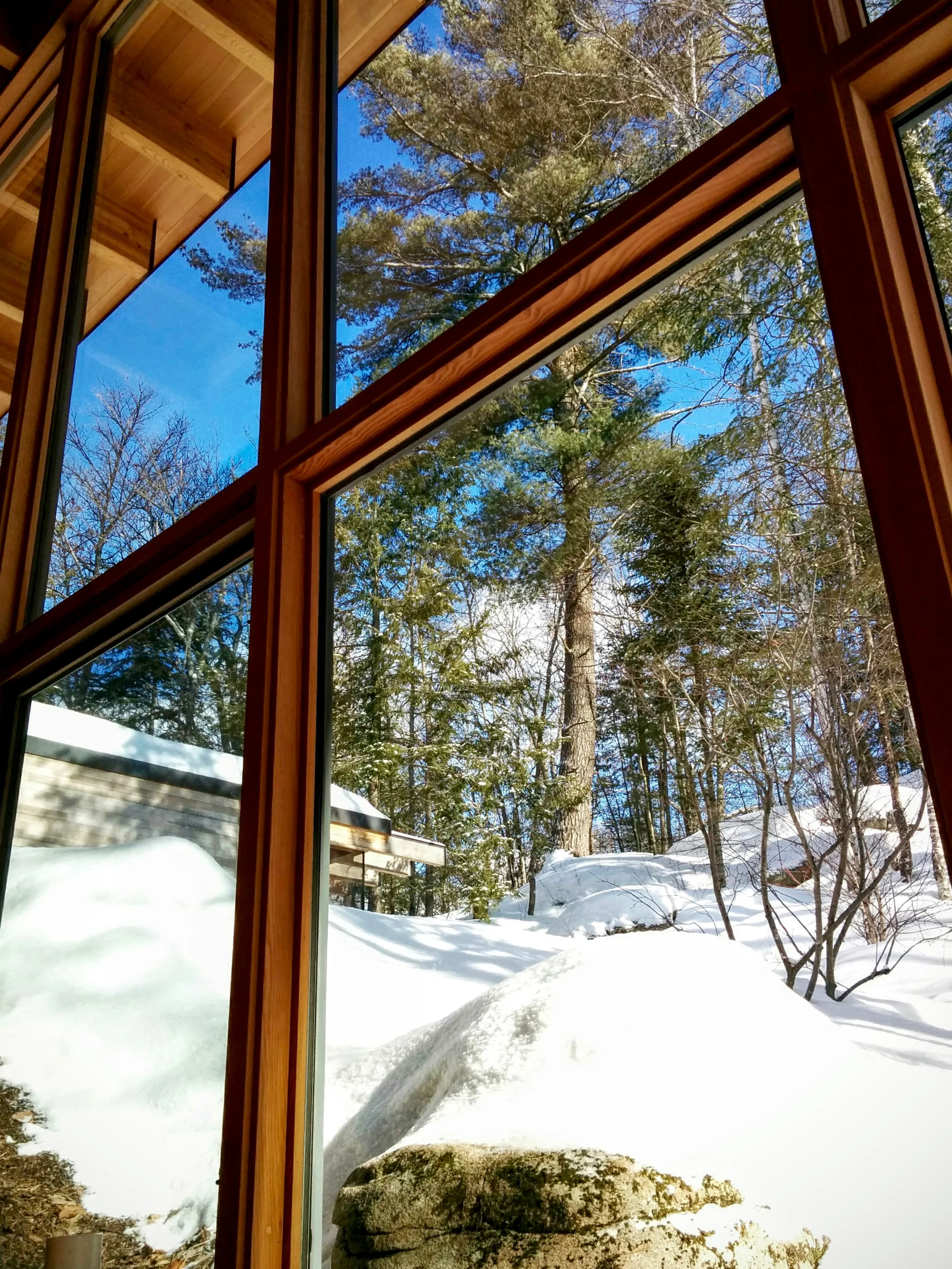Alpine Views