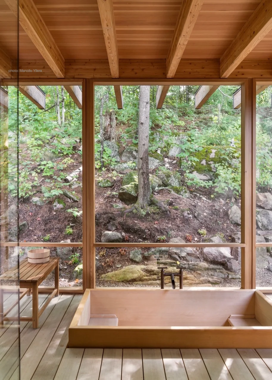 Zen Meets Forest at The Bear Stand