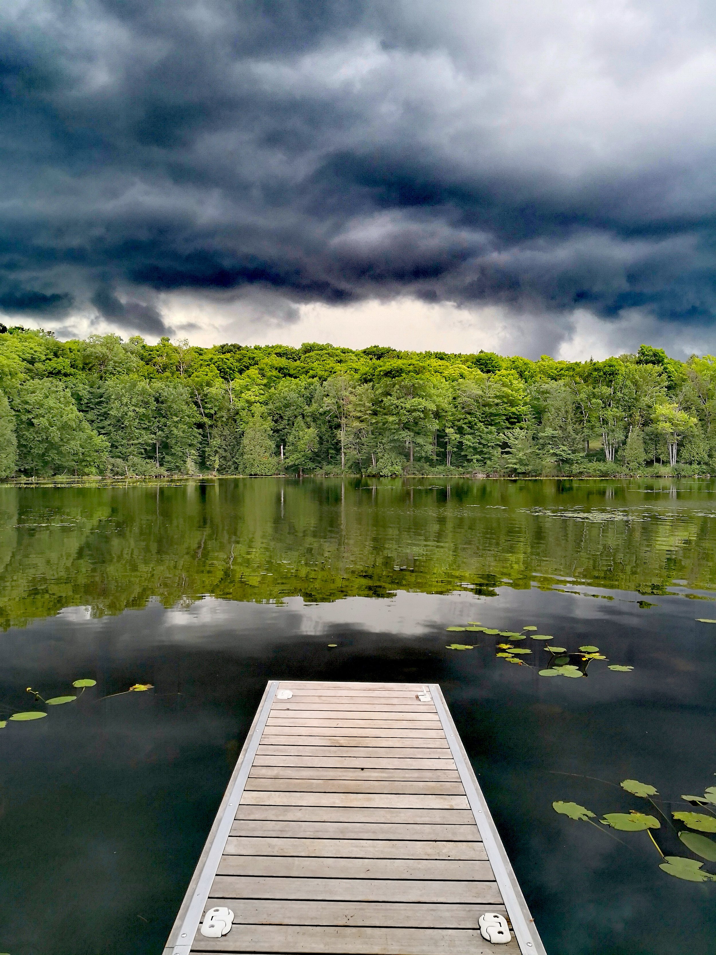 Storm Watching