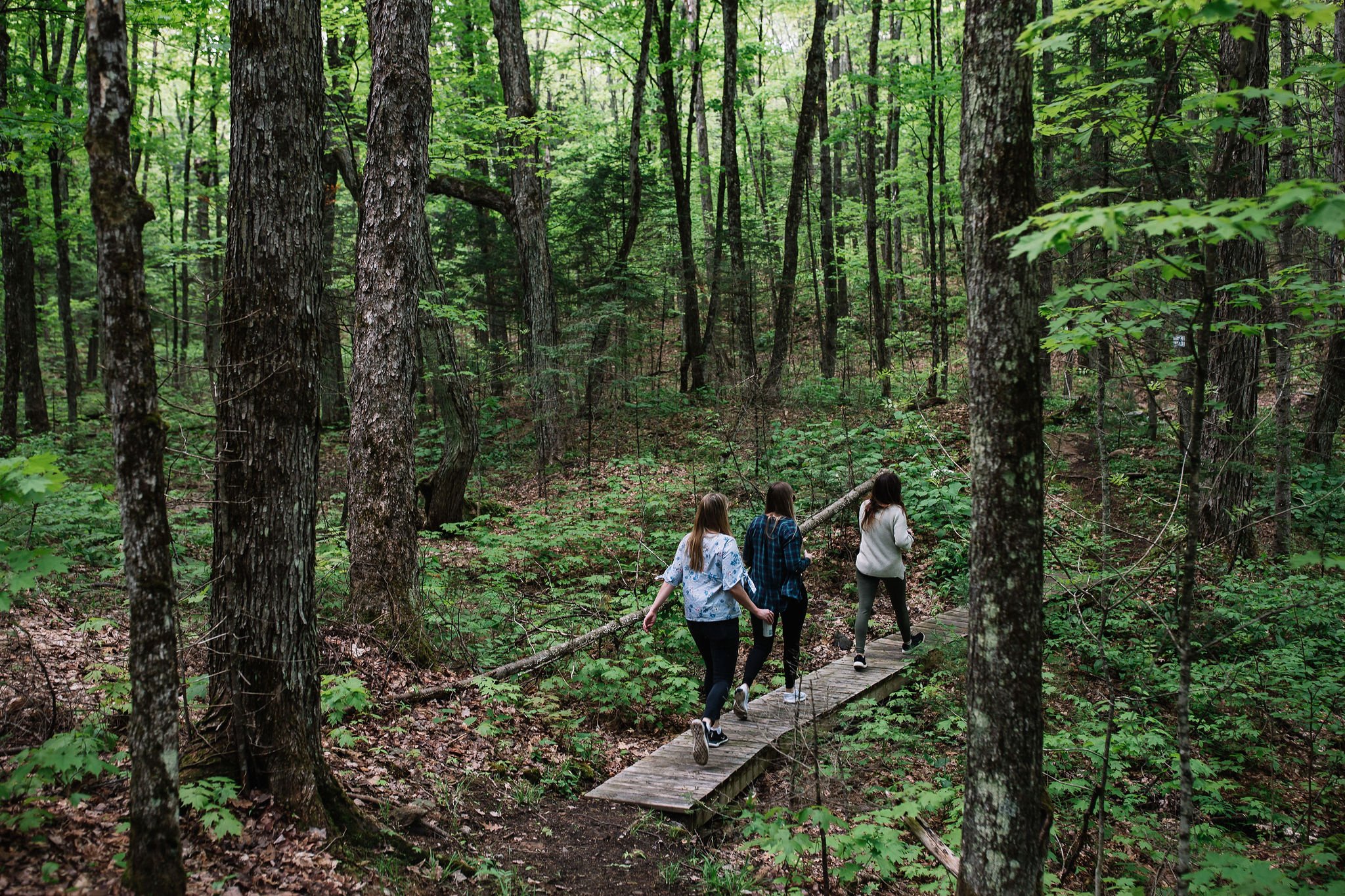 the-bear-stand-summer-danielle-meredith-photography-122 copy.jpg