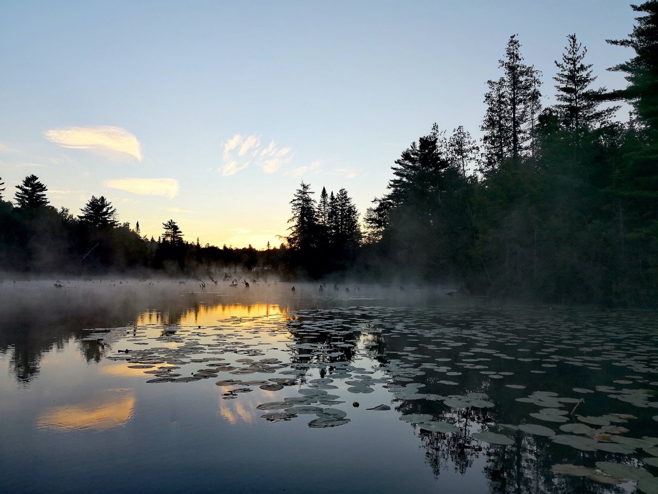 Morning Mist on Lake.jpg