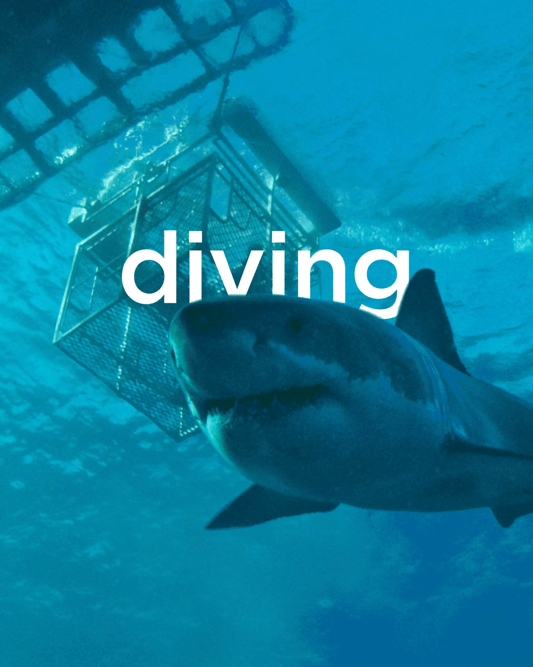 Diving_01.gif
