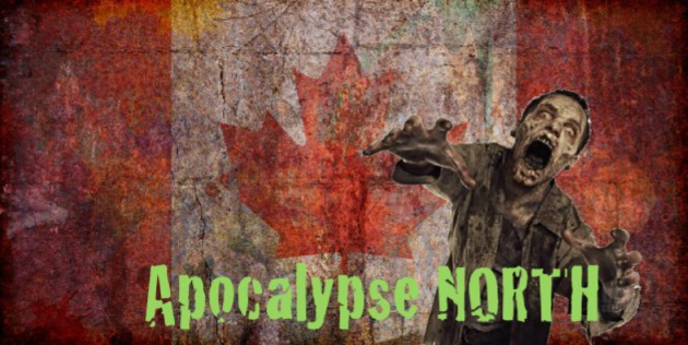 Apocalypse North Megagame Report