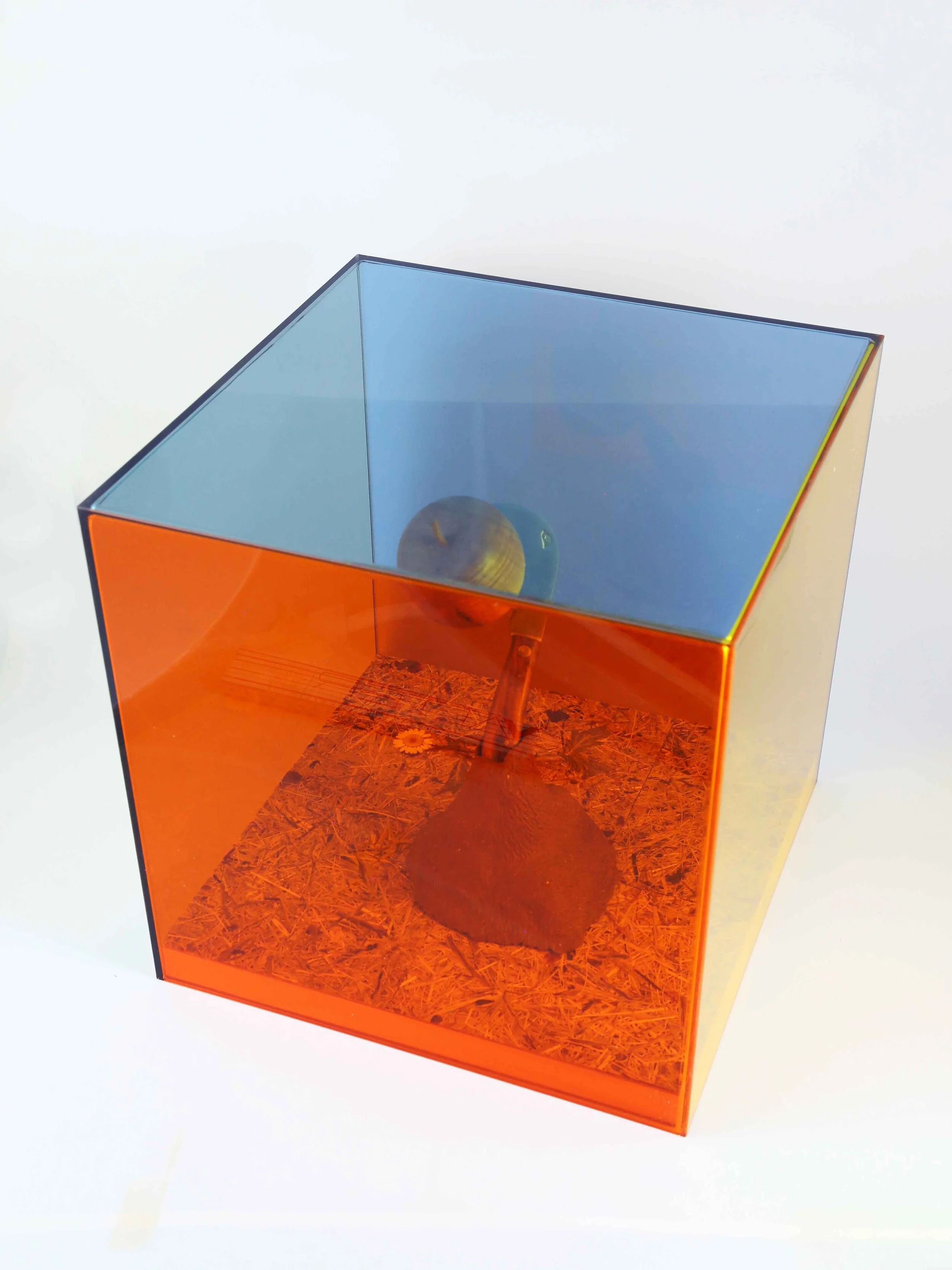 Berufsmodell 1 - Natur