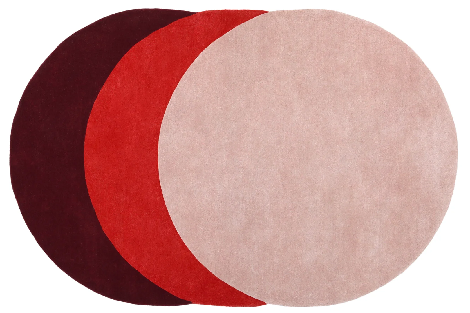 Elisa Ossino — Amini — Teorema