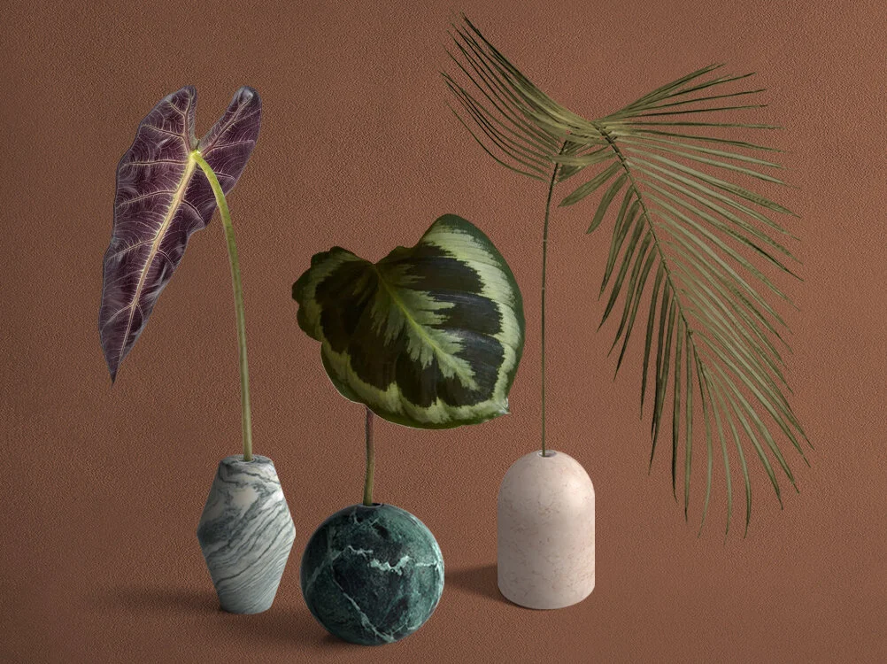 Elisa Ossino — Salvatori — Mono