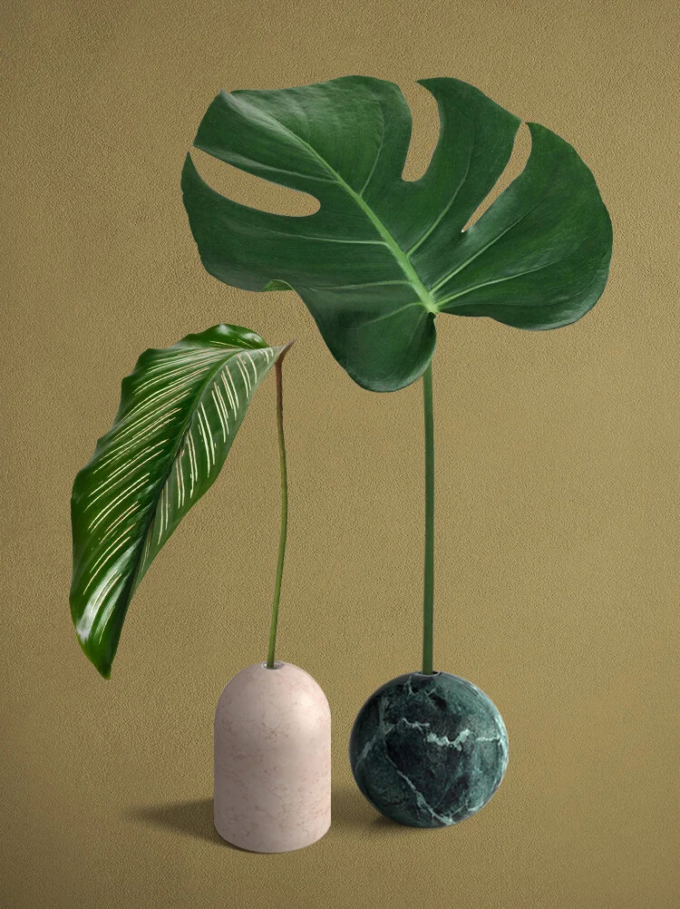 Elisa Ossino — Salvatori — Mono
