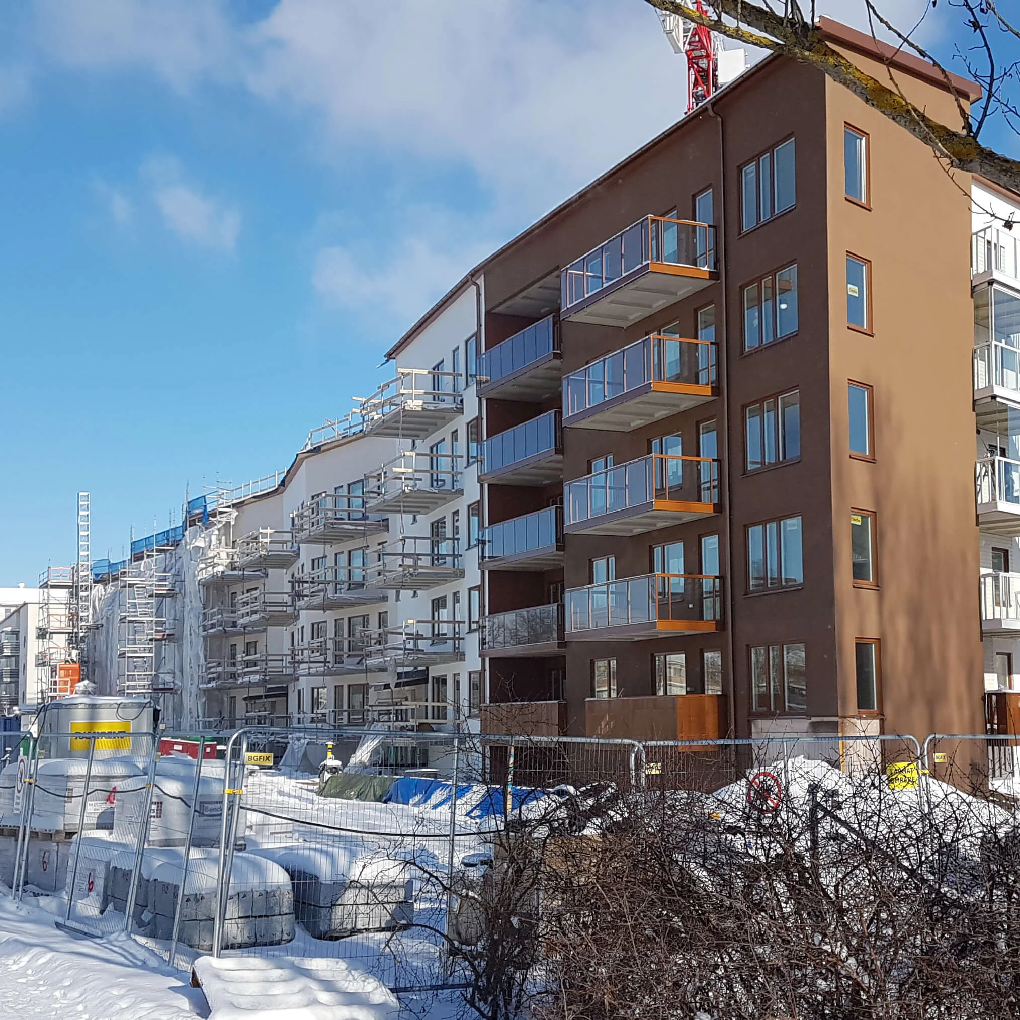 Snart blommar Tornträdgården