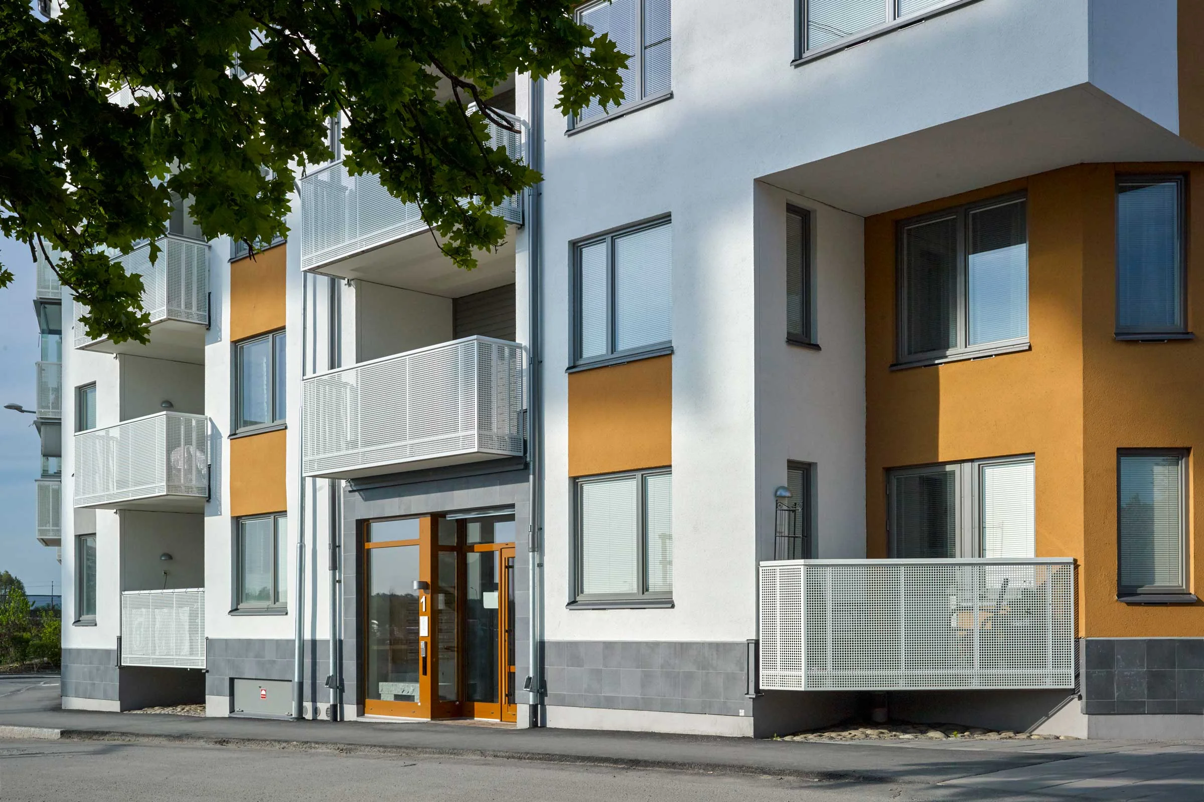 Nya bilder på Nattviolen