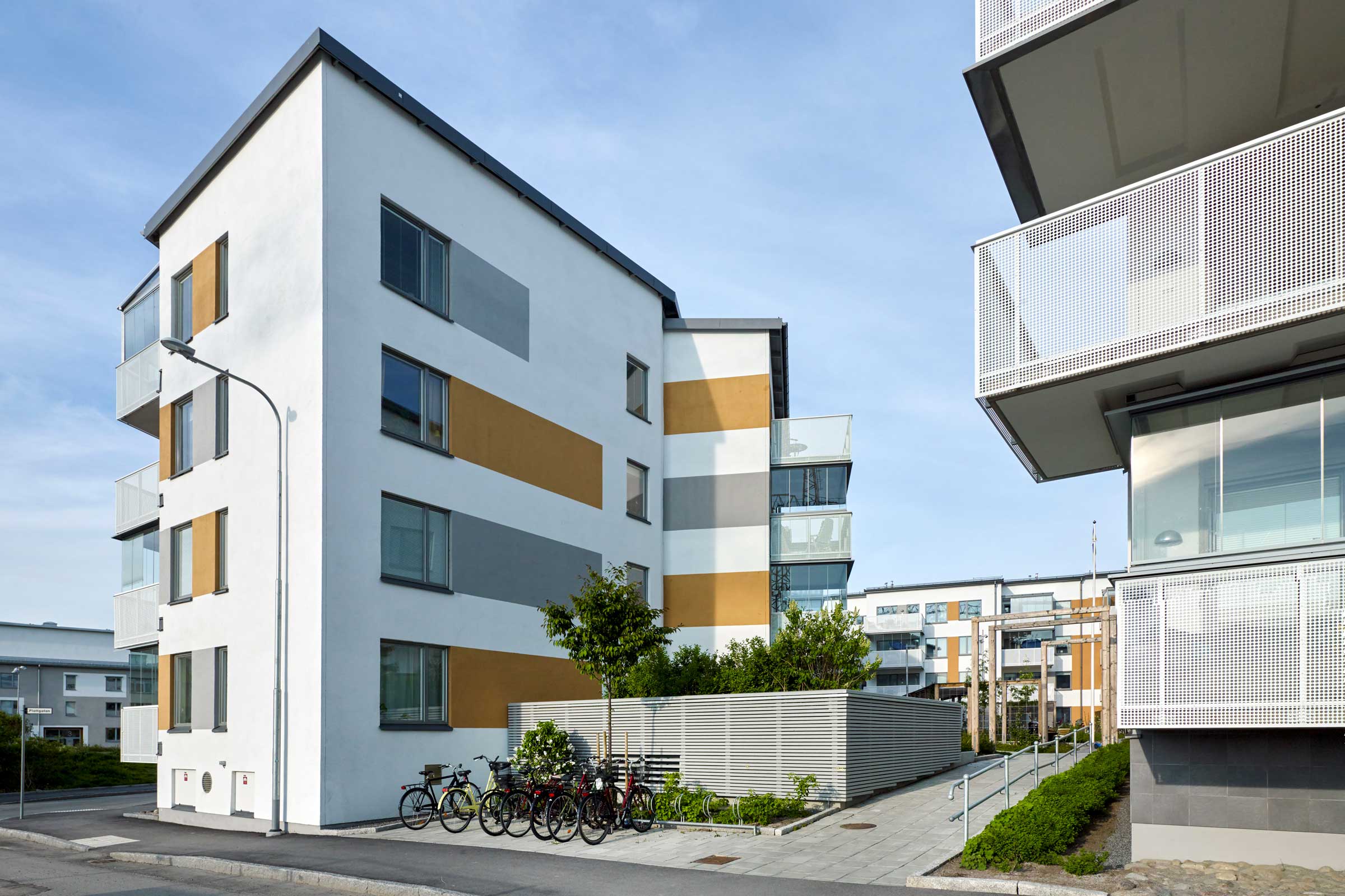 Kaprifolen är fotograferad