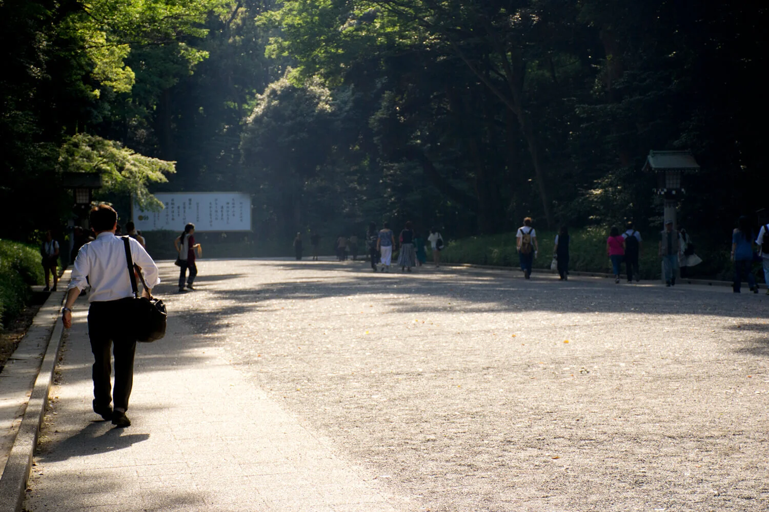 DSC_0601.jpg