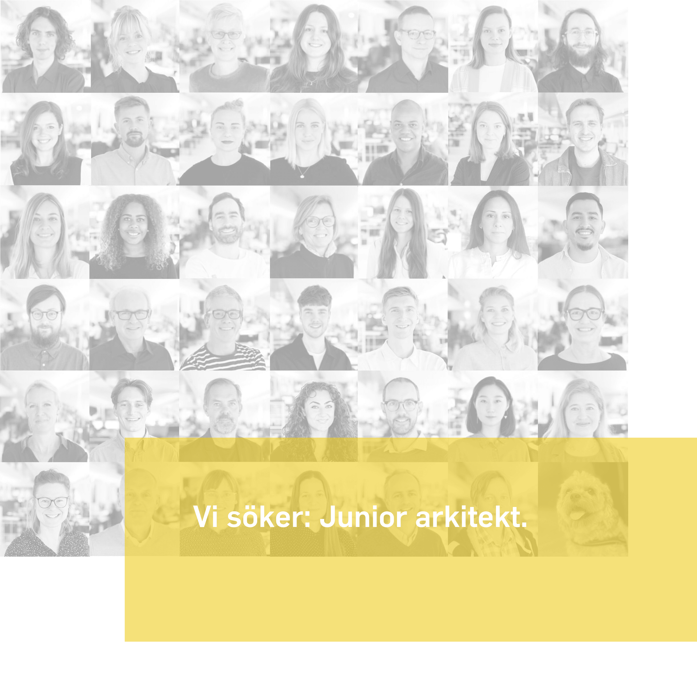 Jobba med oss. Vi söker juniora arkitekter.