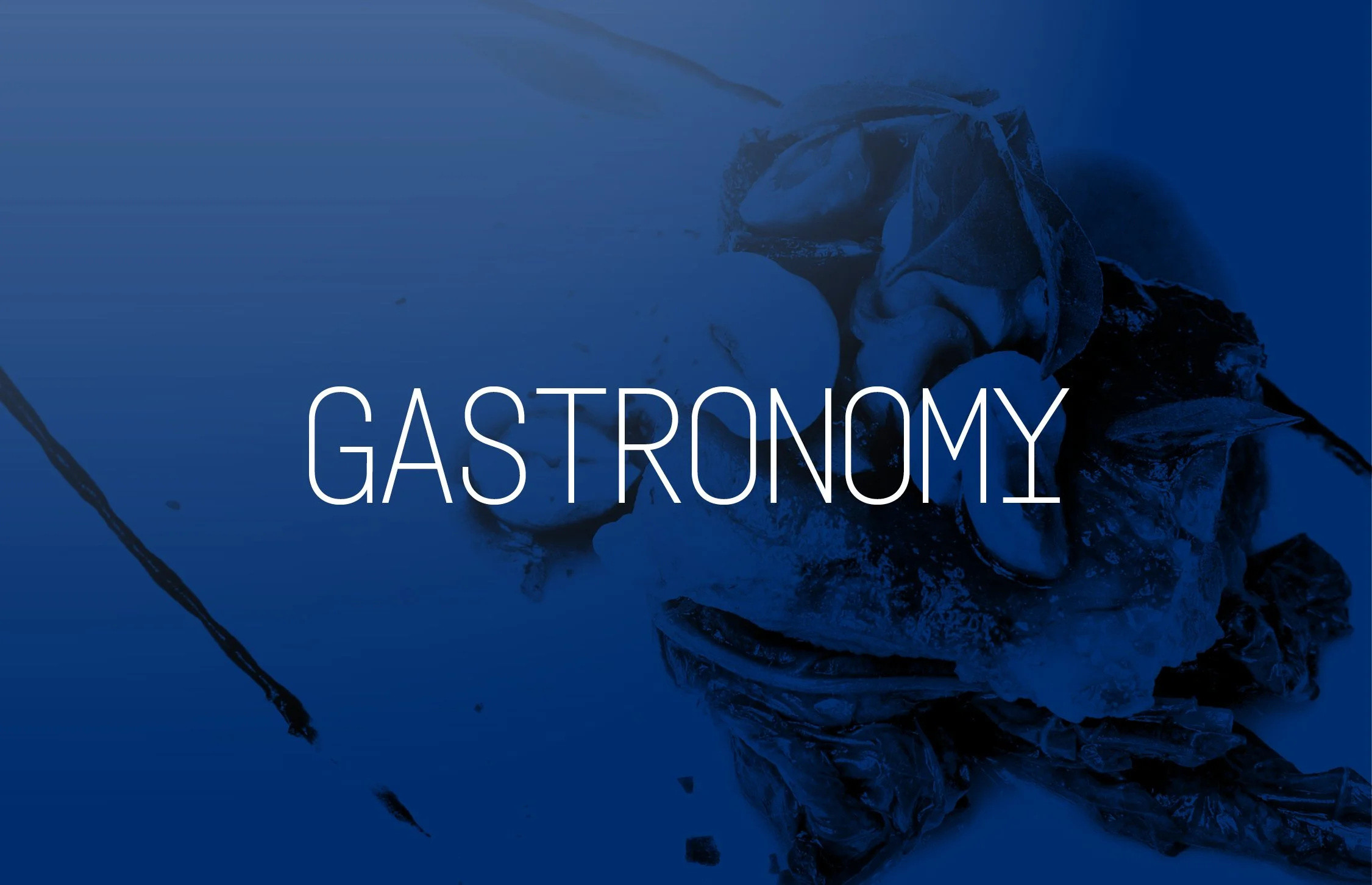 EN-MHW2025-Categories-gastro.jpg