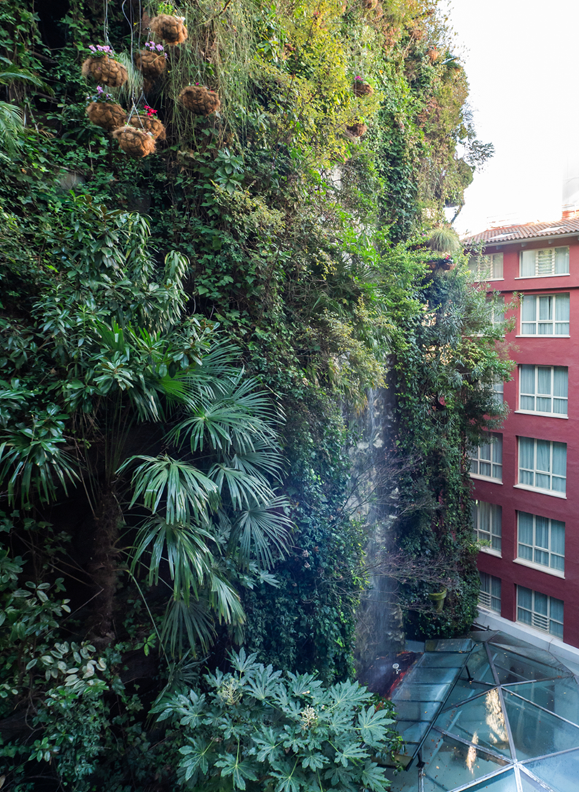 Experiencia Inhala Hotel Garden. Ruta guiada: Secretos del Jardín Colgante y brindis en Inhala Terraza
