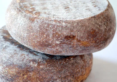 Moulis sheep Pyrennees