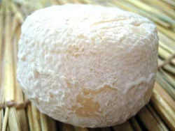 Chamiallard (approx ....)