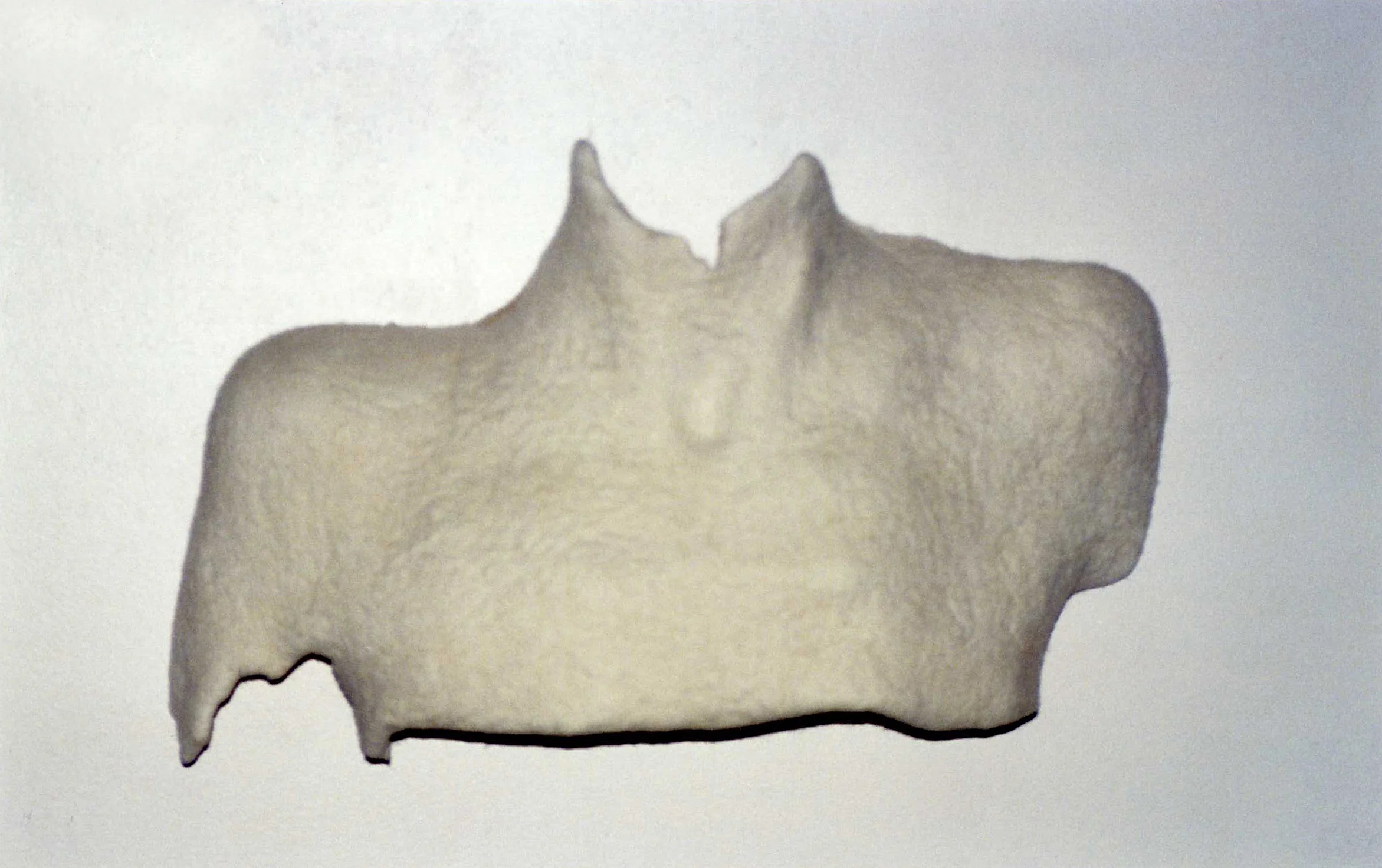 2004 0003.jpg