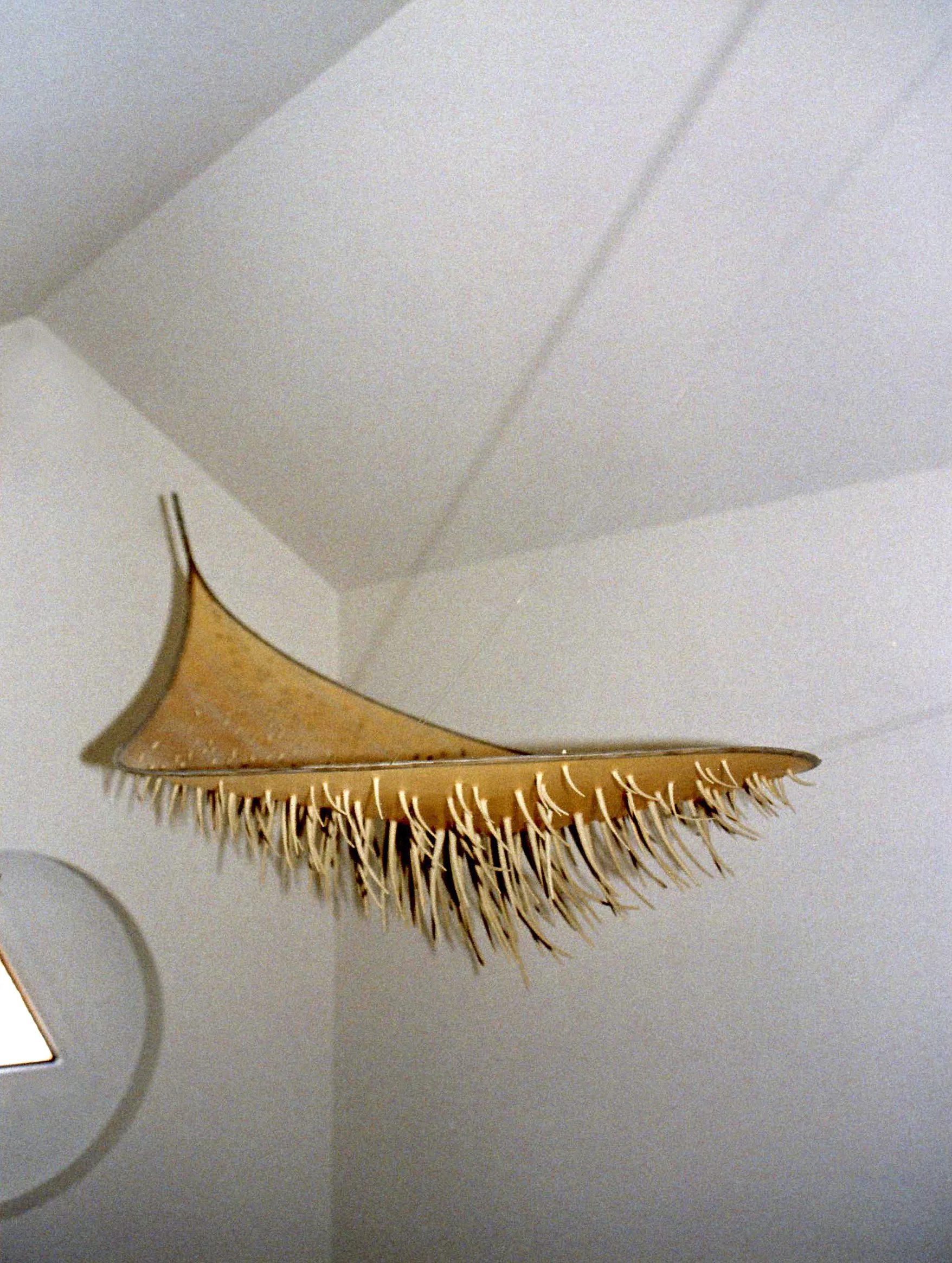 2003 O 0002.jpg