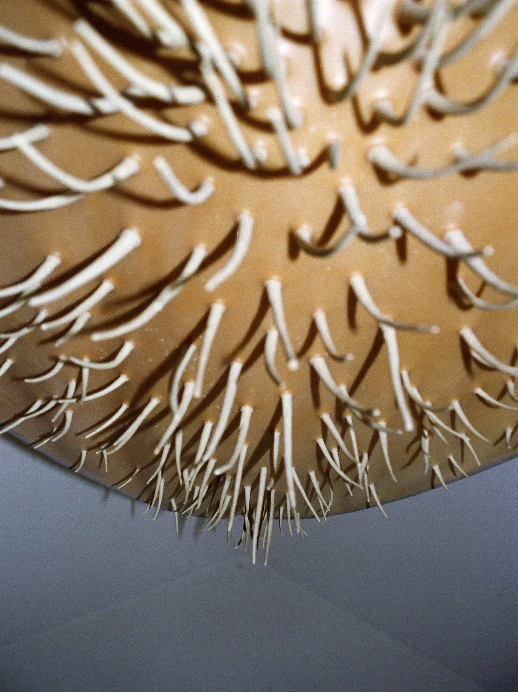 2003 O 0004.jpg