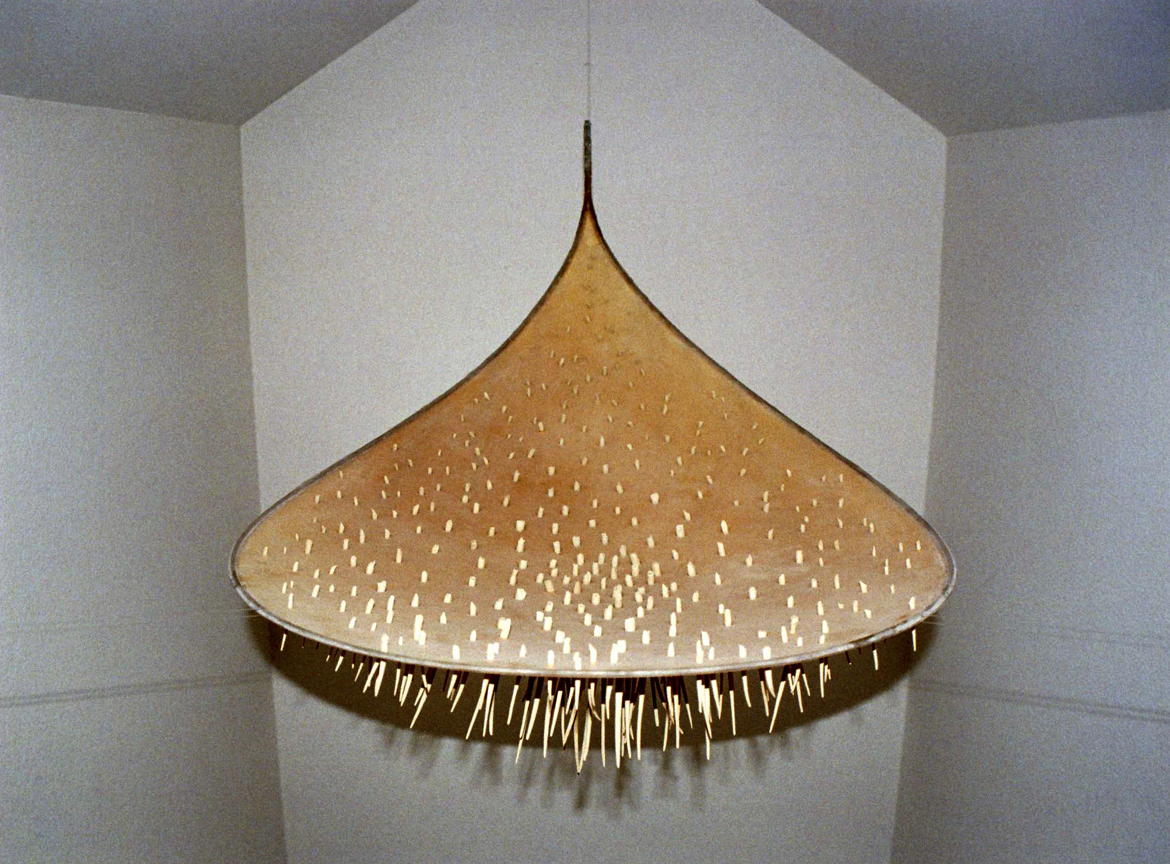 2003 O 0005.jpg