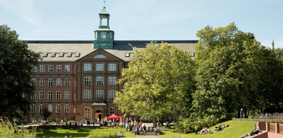 Q & A til vervene i Optimum og Studentrådet