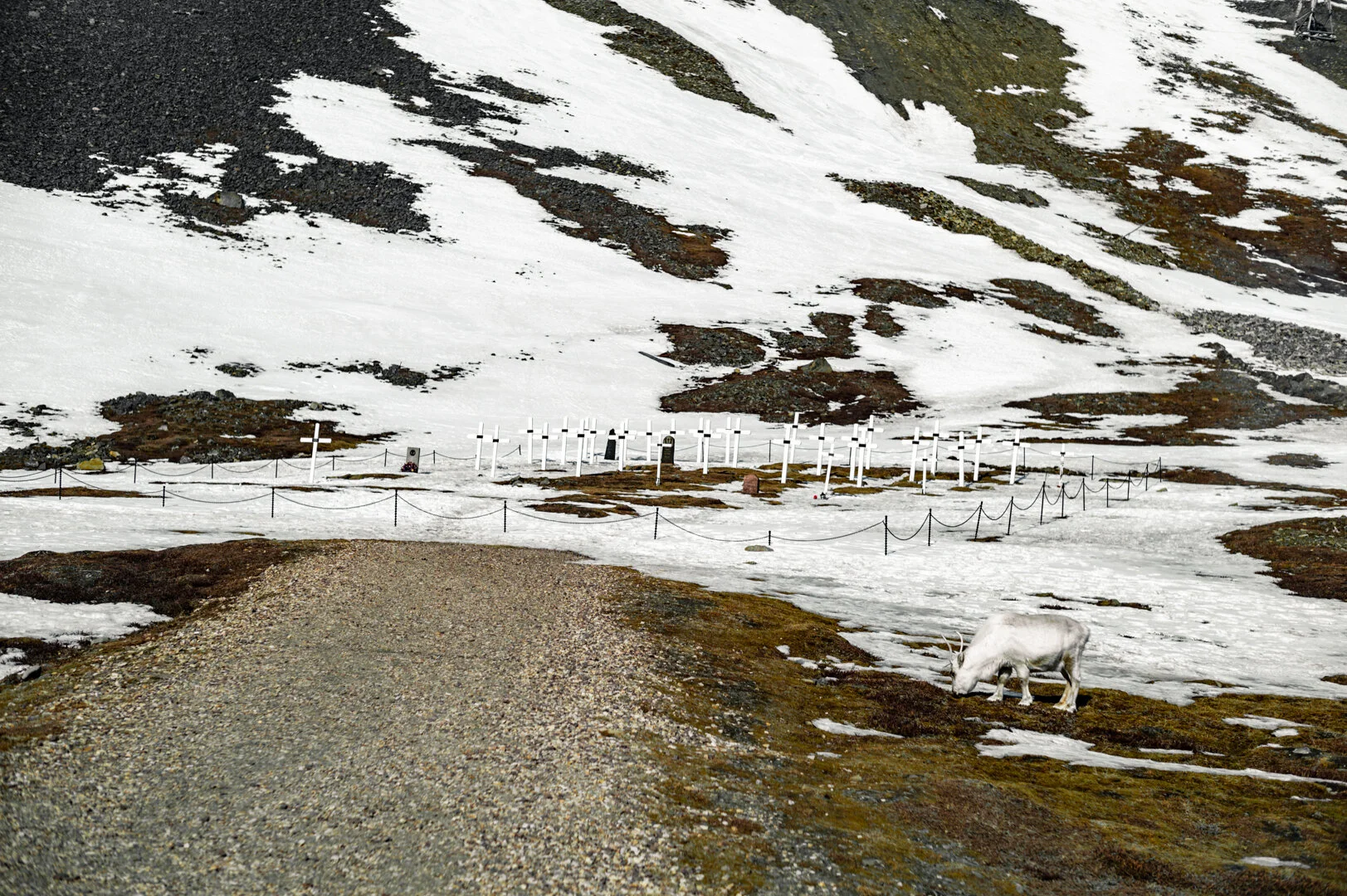 L1007785.jpg