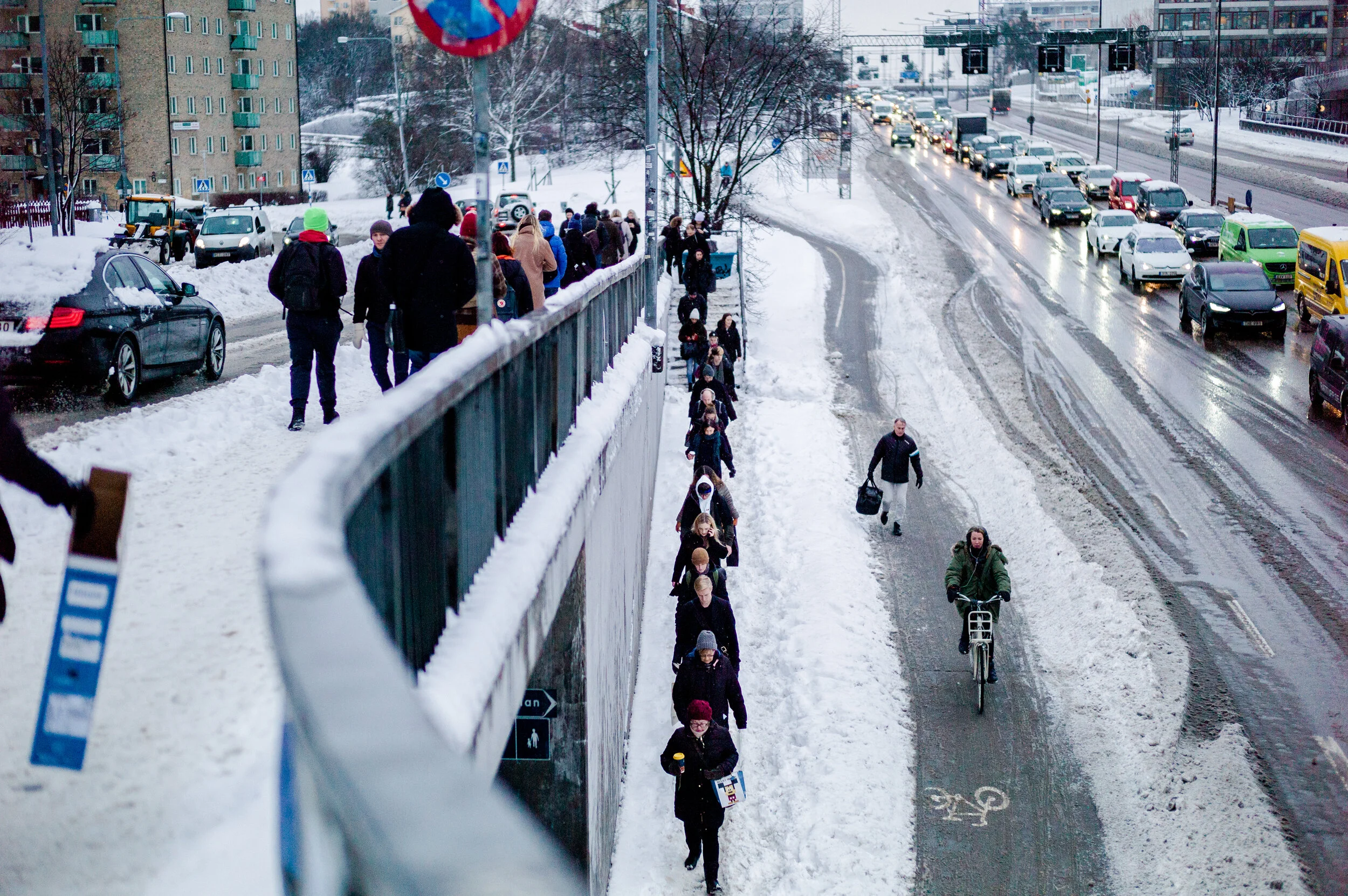 20190205-L1005046.jpg