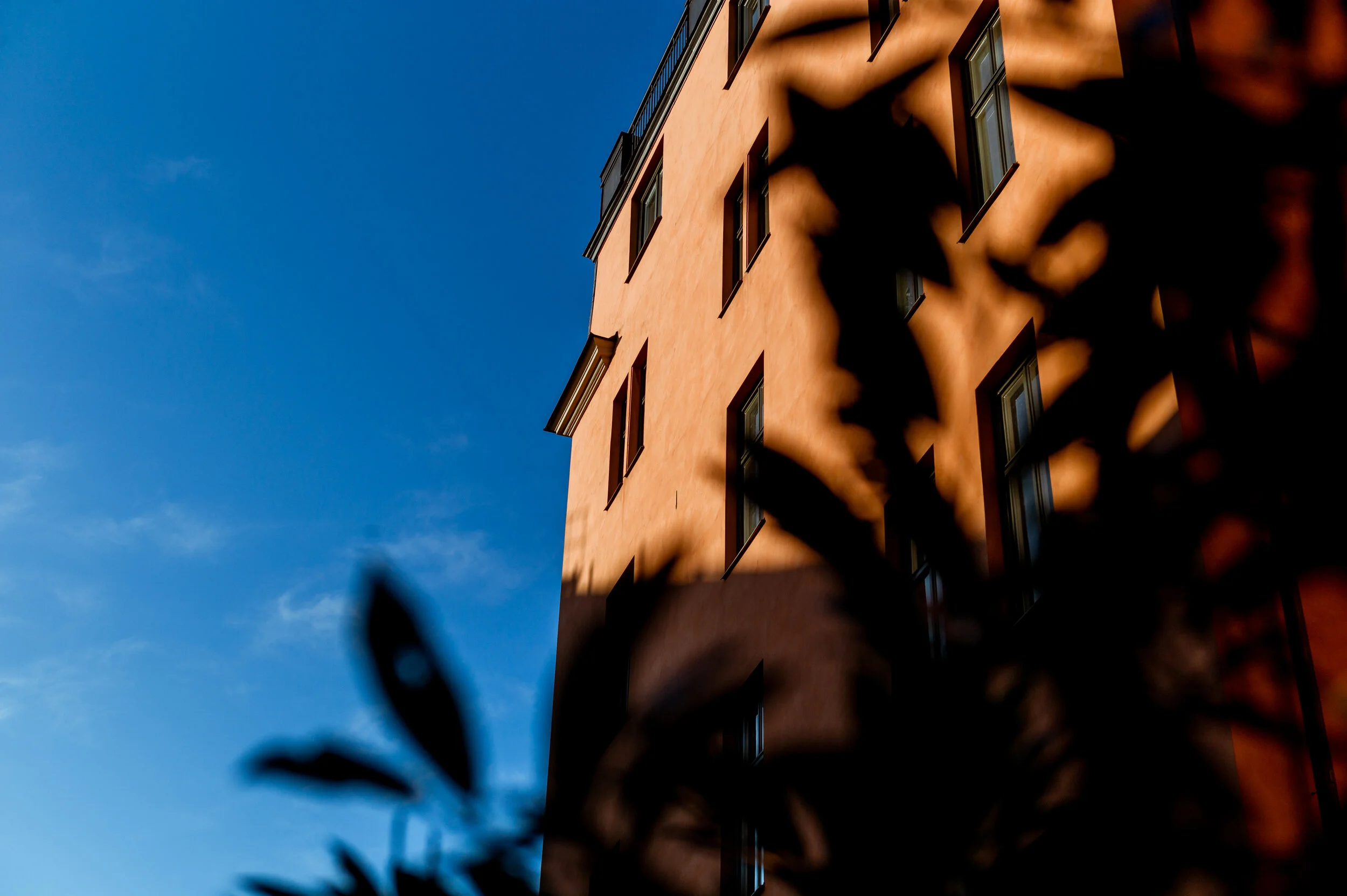 L1005443.jpg