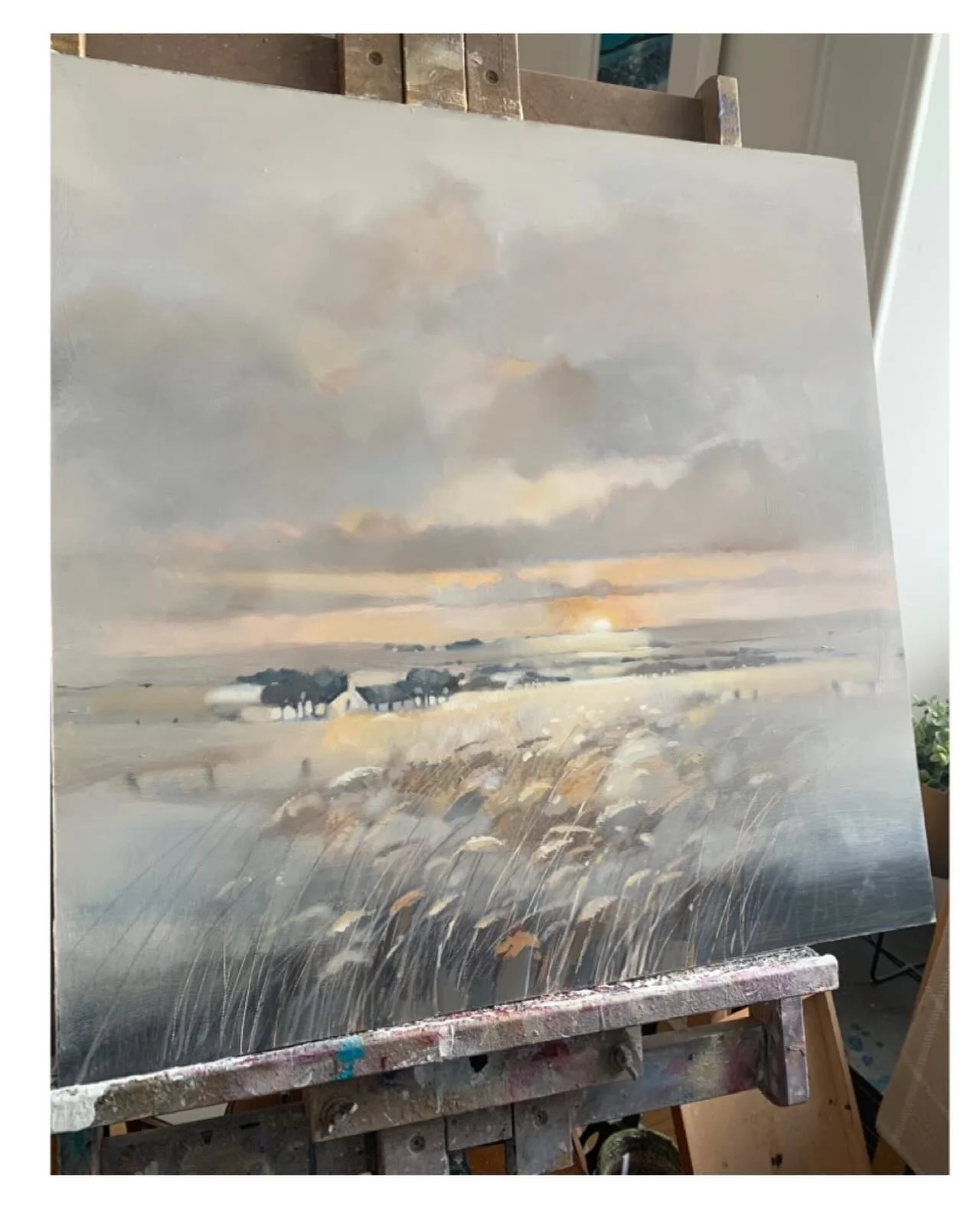 On the easel today&hellip;&hellip; large oil painting of the barley fields in the Highlands. Fields of whisky 🥃 
www.emmasdavisartist.co.uk
.
.
.
#emmasdavisartist #barleyfield #sunsetart #scottishart #oilpainting