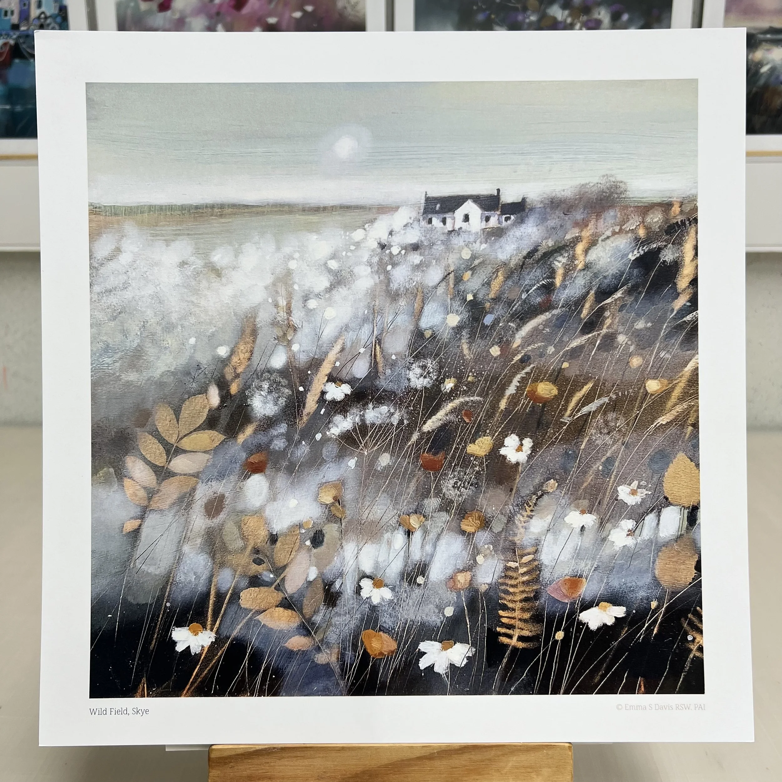 Wild Field Skye Emma S Davis Artist 4.jpeg