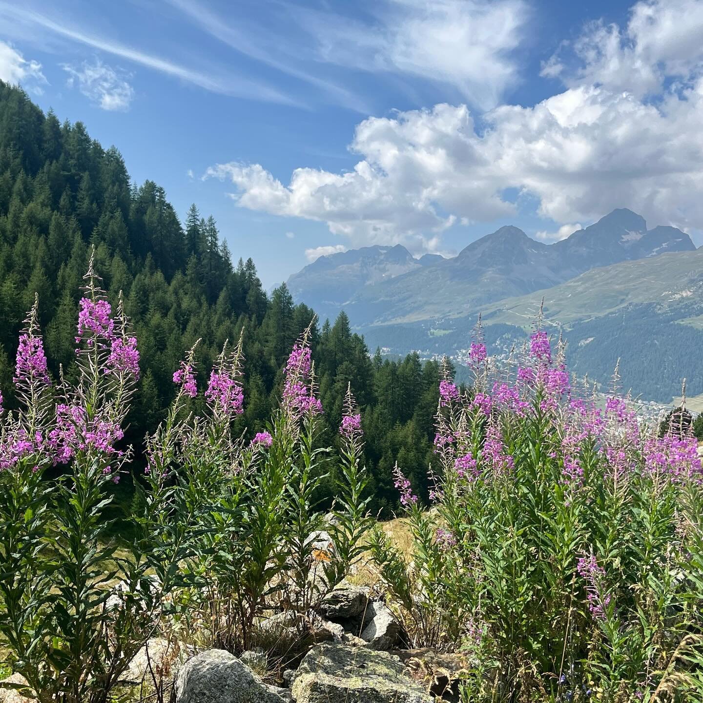 Today, we took the road less-travelled. Usually, when we&rsquo;re here, we walk the panoramic route, famous for its stunning views of peaks, valleys and turquoise lakes. But it&rsquo;s almost 3 hours, and we didn&rsquo;t want a mutiny from our 5-year