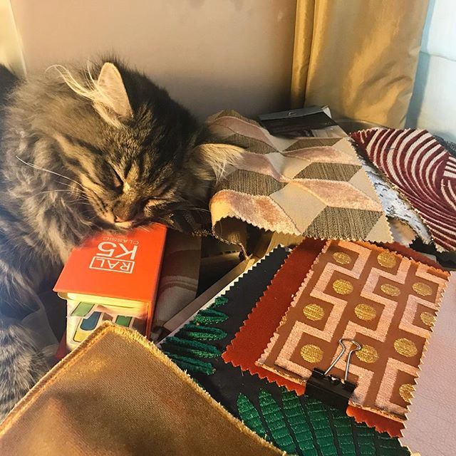 After a week of hard work, our cat Coco decides to nap surrounded by fabrics, using the RAL colour chart as a pillow!!
.
.
.
.
.
#cocothecat #coco #catsofinstagram #interiordesign #interiordesigner #interiordecorating #fabrics #interiors123 #interior