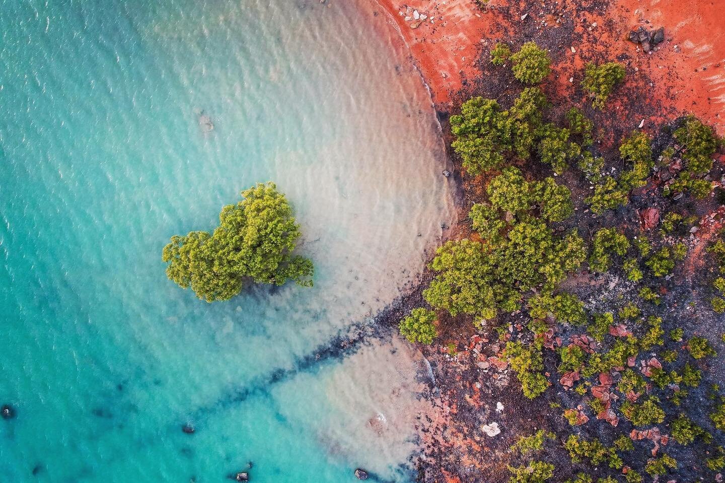 Broome colours.