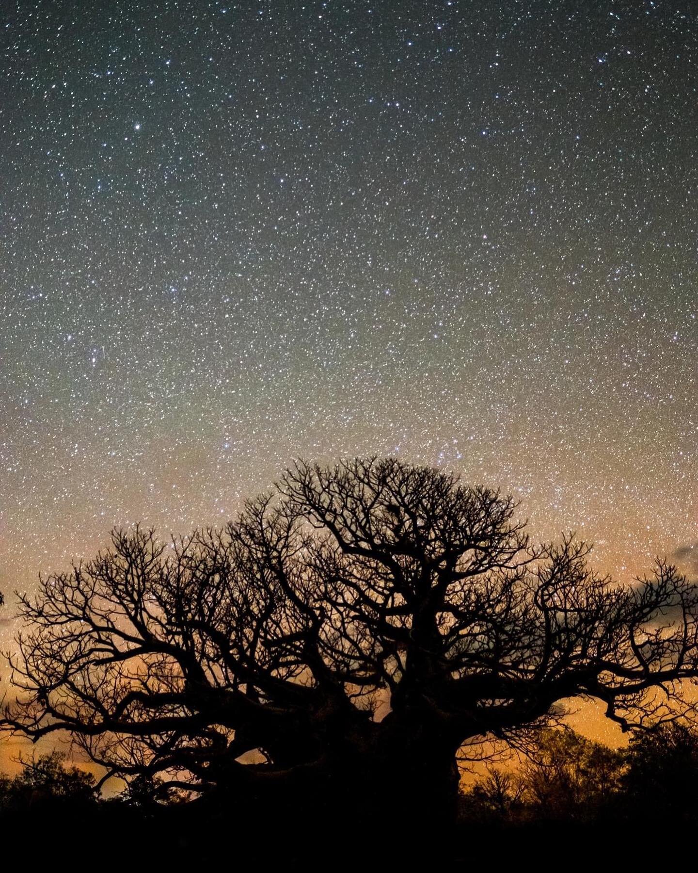 Back in Broome now after an epic couple of weeks in Kununurra. Managed to take this snap of a boab underneath the Kimberley stars. Such a special place. On our way south now gradually over the next 5 weeks.