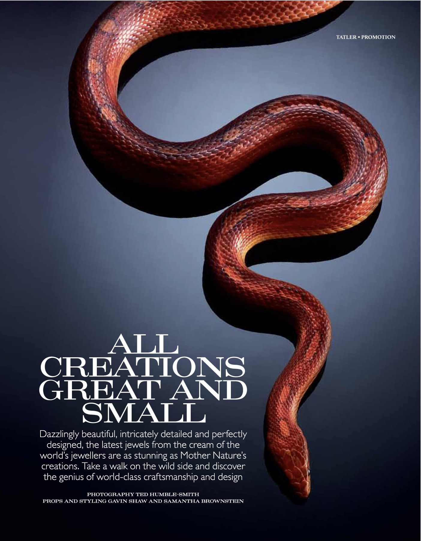 all creatures 1.png