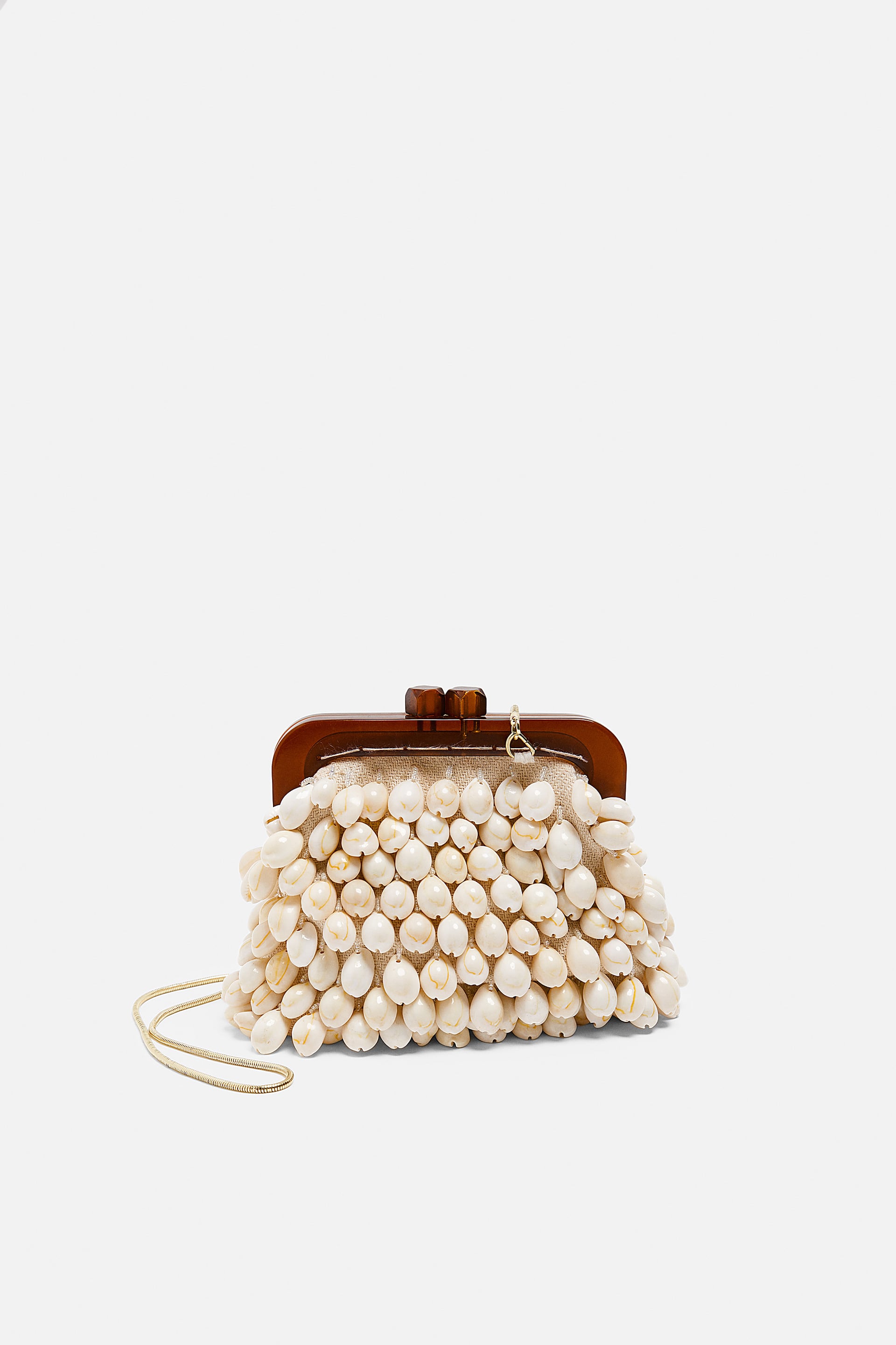 Zara Shell Bag.jpg