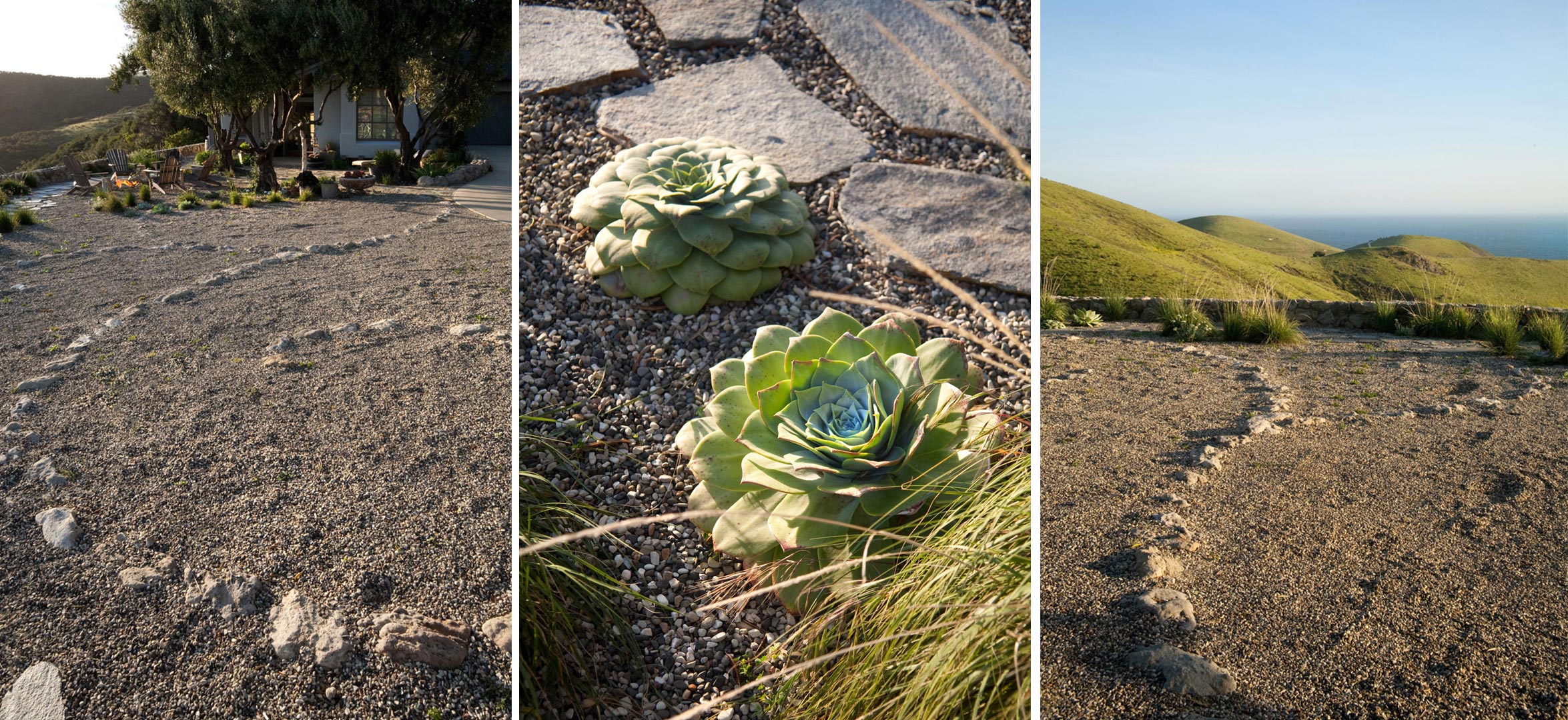 hollister-5-succulents-gravel-path.jpg