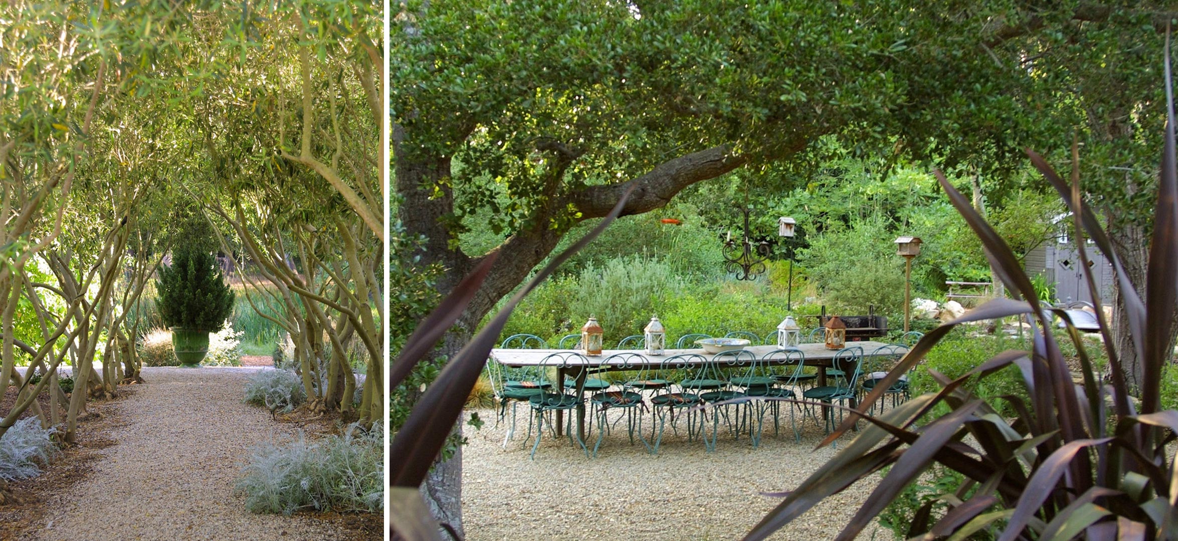 5-olive-trees-outdoor-seating.jpg