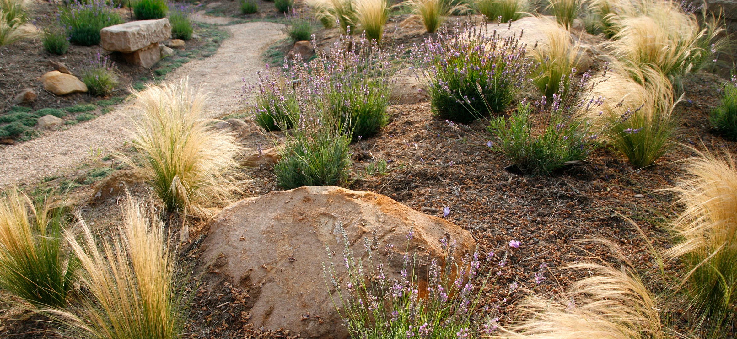 El-Pueblo-Viejo-09-pathway.jpg