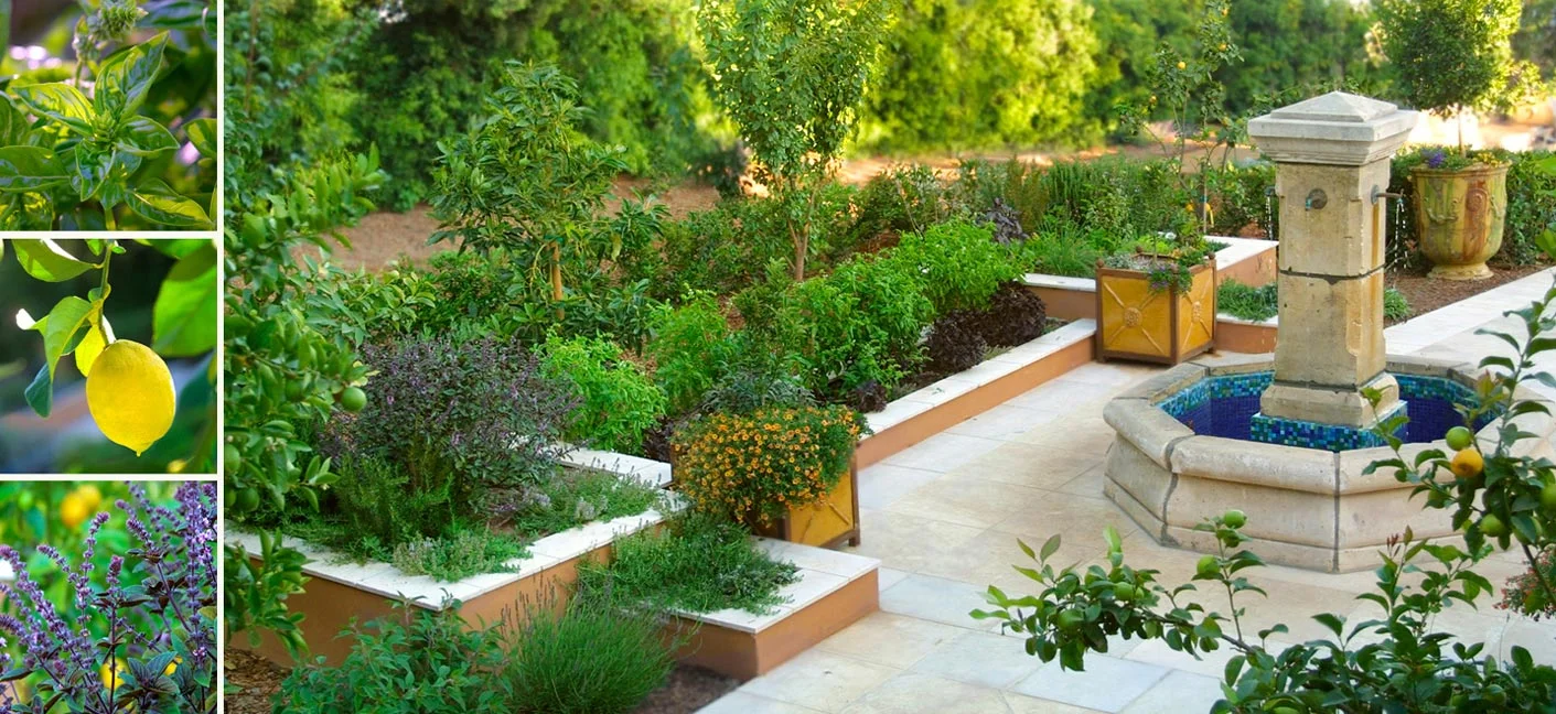 6-herb-garden.jpg