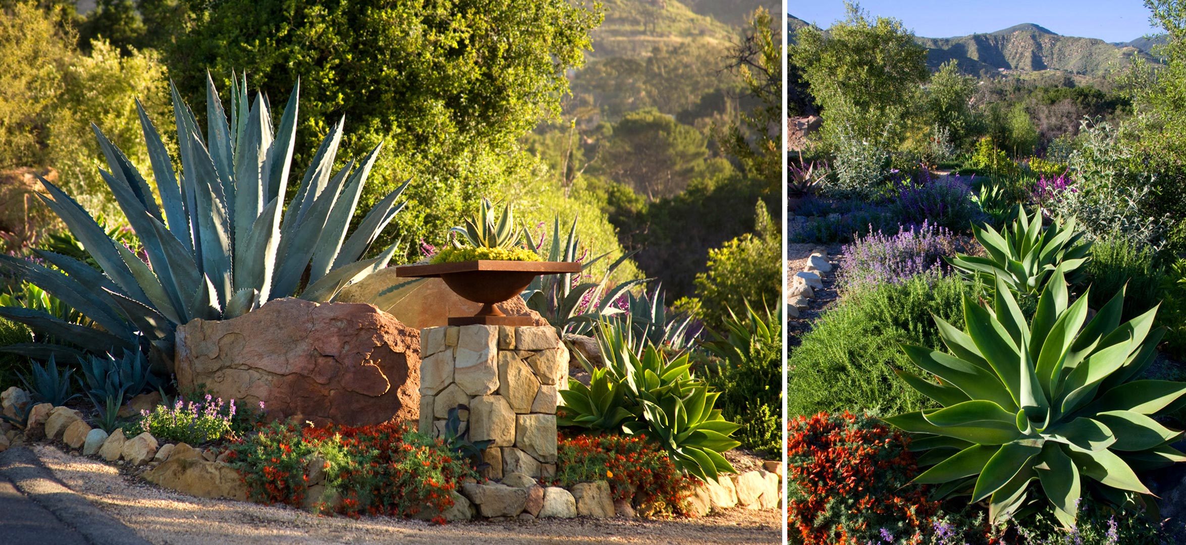 1-entry-agave.jpg