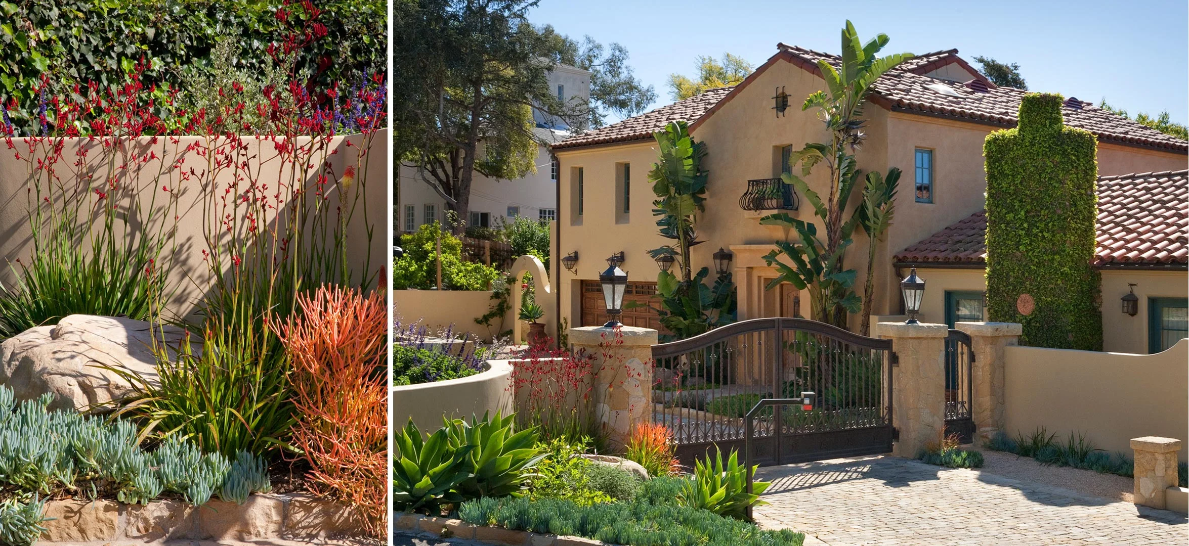 1-succulent-gate-entry.jpg