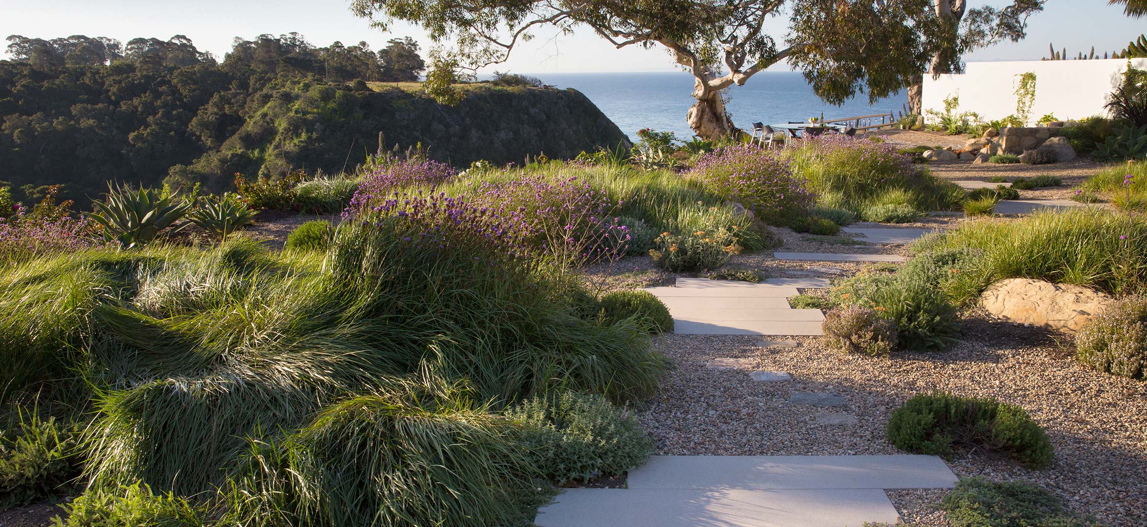pathway-2.jpg