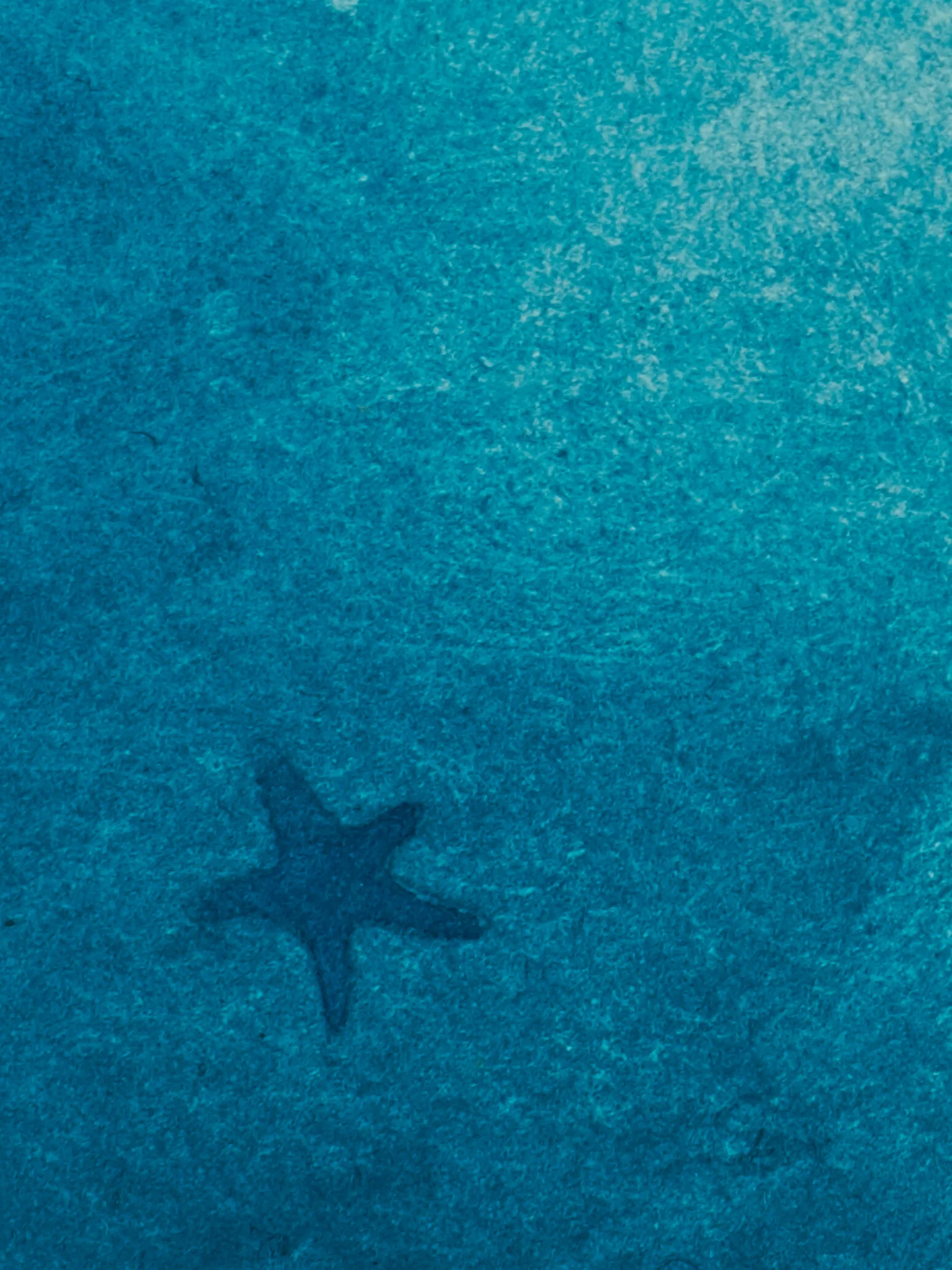 Floating_2035 3.jpg
