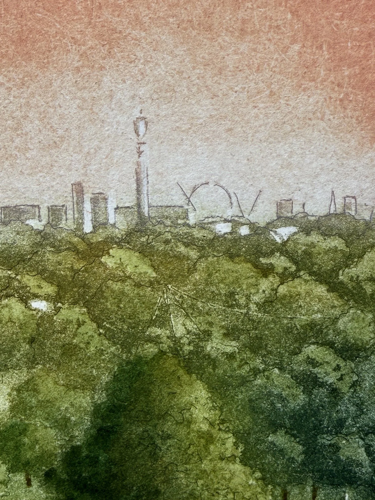 IMG_2441.jpeg