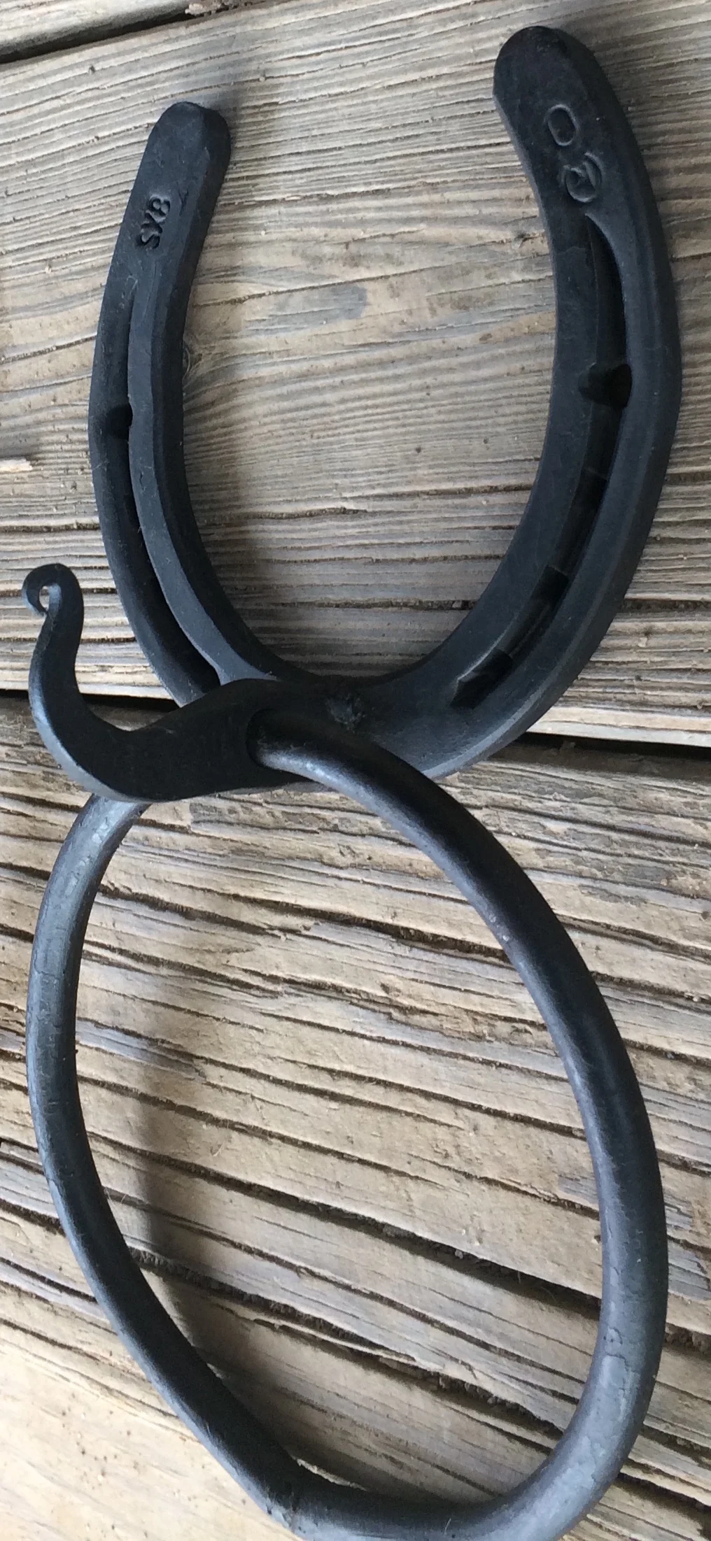 Horseshoe ring(cropped).jpg