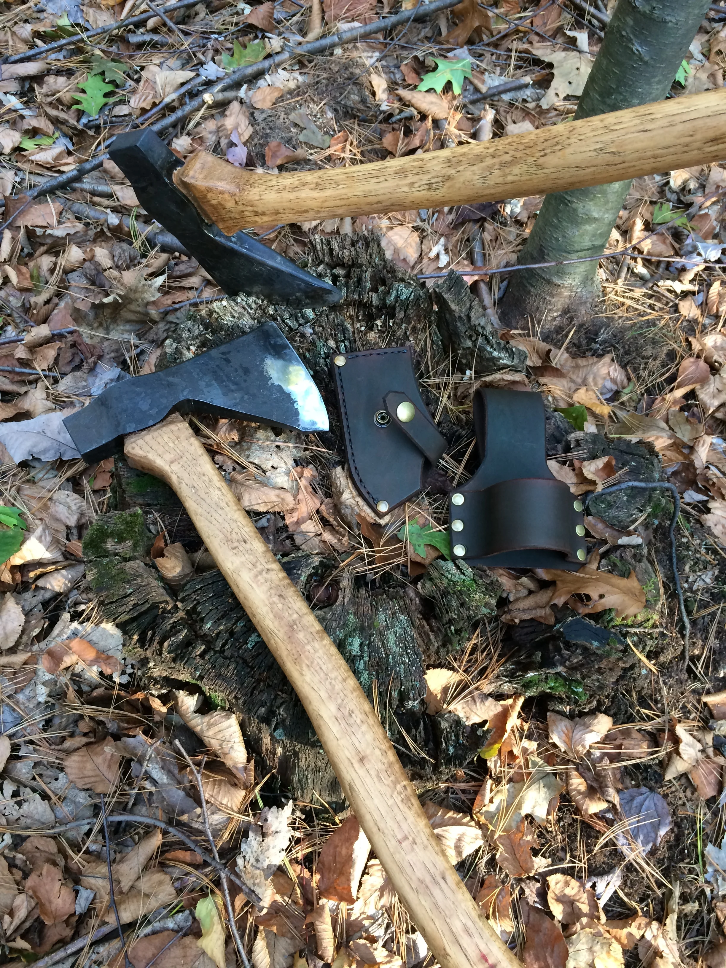 Axes - unsheathed2.JPG
