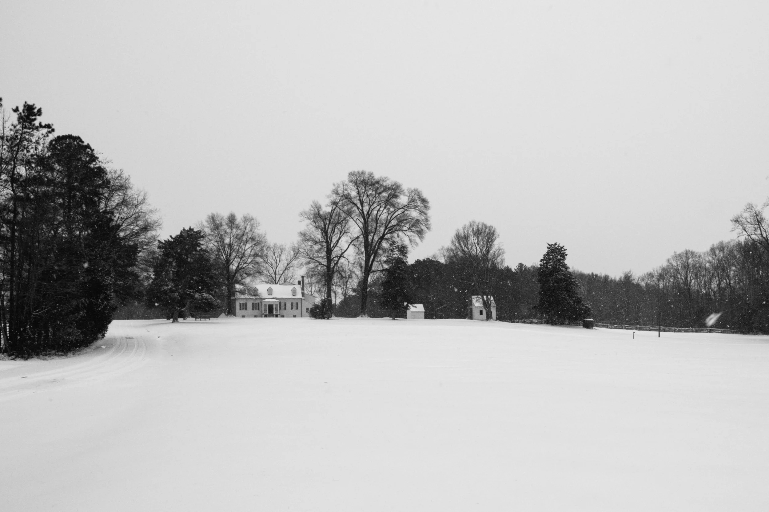 DSCF0076.jpg