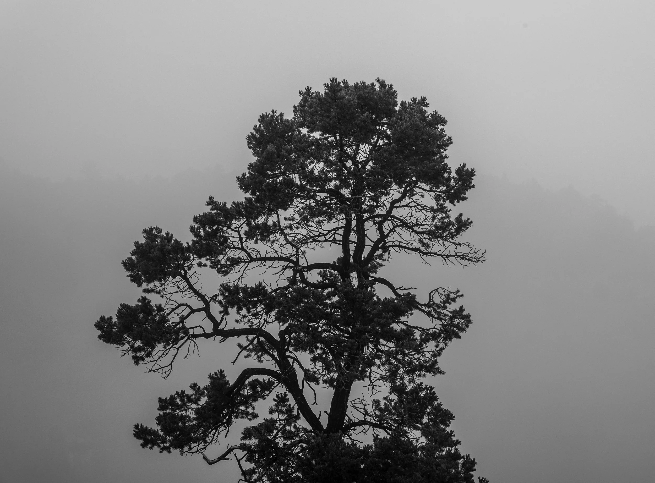 DSCF4433.jpg