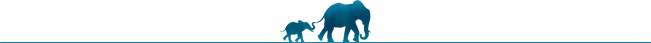 Elephants-divider.png